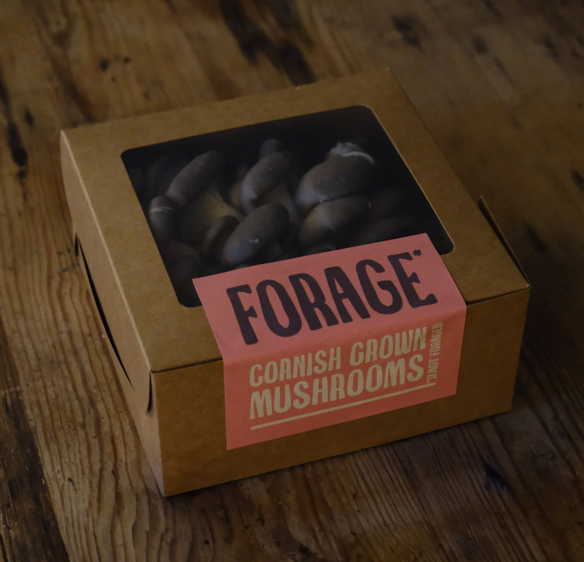 Forage Mushrooms 1kg Mixed Box of fresh gourmet mushrooms grown in Fowey, Cornwall
